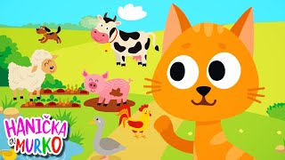 MAČIČKY - detské pesničky pre najmenších | Pesničky pre deti | Hanička a Murko | Animal songs | Kids