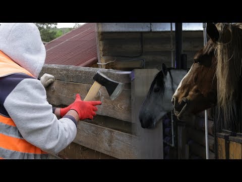 Видео: Как да уволня лош служител