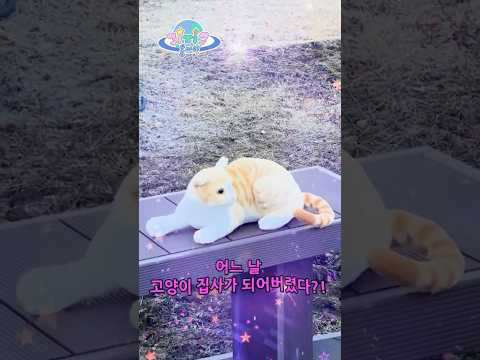 냥줍하고 다이소에서 <strong>고양이</strong> <strong>용품</strong> 풀셋 맞추기✨ #shorts