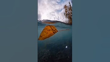 ماتيسر من سوره ابراهيم 💥🥰🥰💥