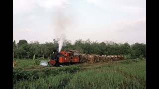 Sindanglaut Turns Orange 1996, West Java, Indonesia