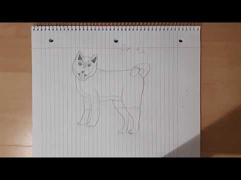 Como desenhar um Akita