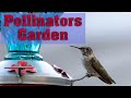 Pollinators Garden