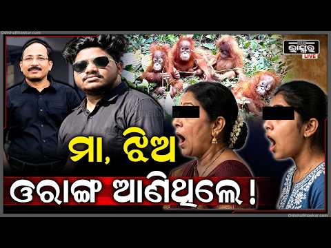 ସାମ୍ନାକୁ ଆସିଲା ସତ, ଓରାଙ୍ଗଉଟାନ କୁ ଏହି ମା,ଝିଅ ଆଣିଥିଲେ! Mother and Daughter brought the orangutan
