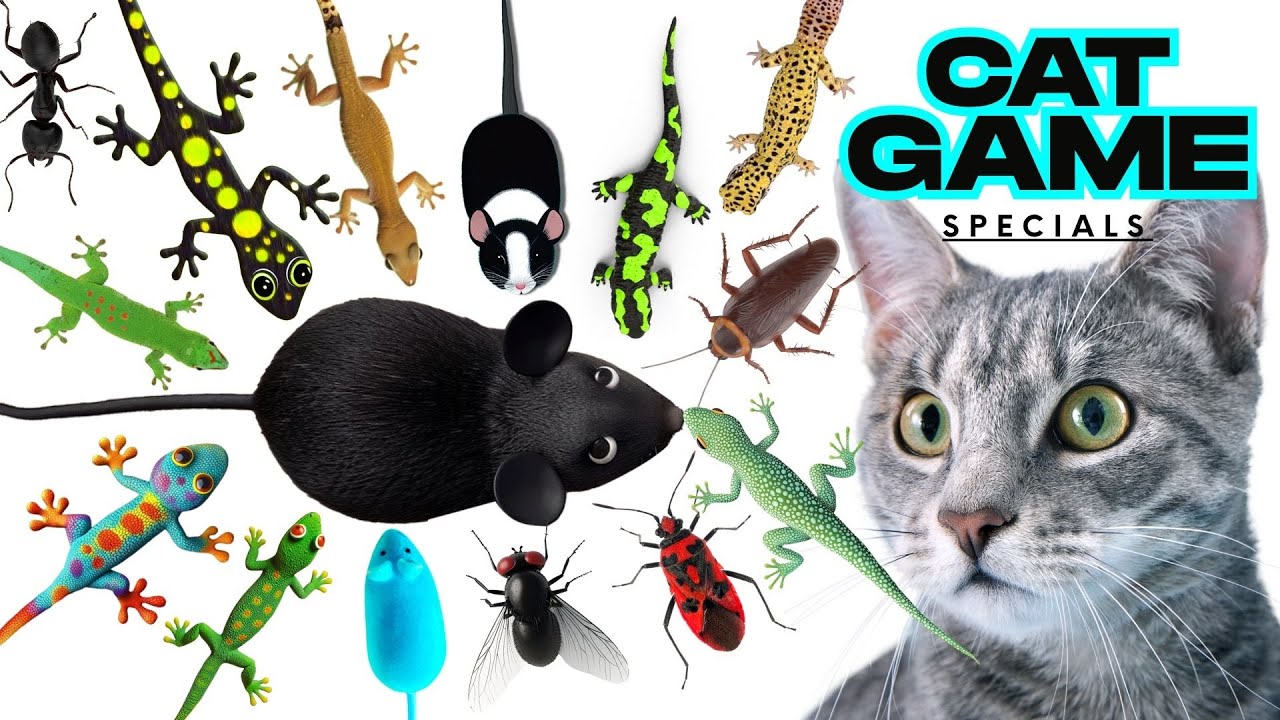CAT GAMES Little Mouse 3D| Ultimate Compilation Catching The LIZARDS, Flies,FireBugs🦎11 HOUR🦎Vol 311
