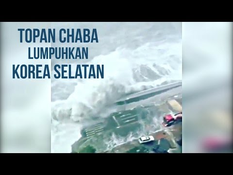 Rekaman Saksi Mata Bencana Topan Super Chaba di Busan