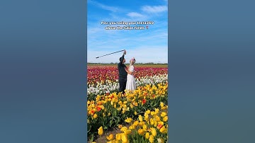 The view from above 😍 Name a better spot to film a Bullet Time 👆 #Insta360 #flowers #tulip #shorts