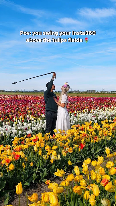 The view from above 😍 Name a better spot to film a Bullet Time 👆 #Insta360 #flowers #tulip #shorts