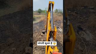 जंगली सूअर है 😱 #minivlog #youtbeshorts #jcb #ytvlogs #ytshorts
