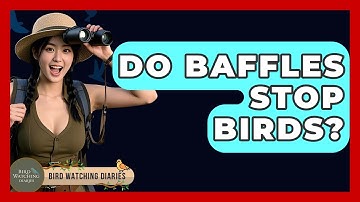 Do Baffles Stop Birds? - Bird Watching Diaries