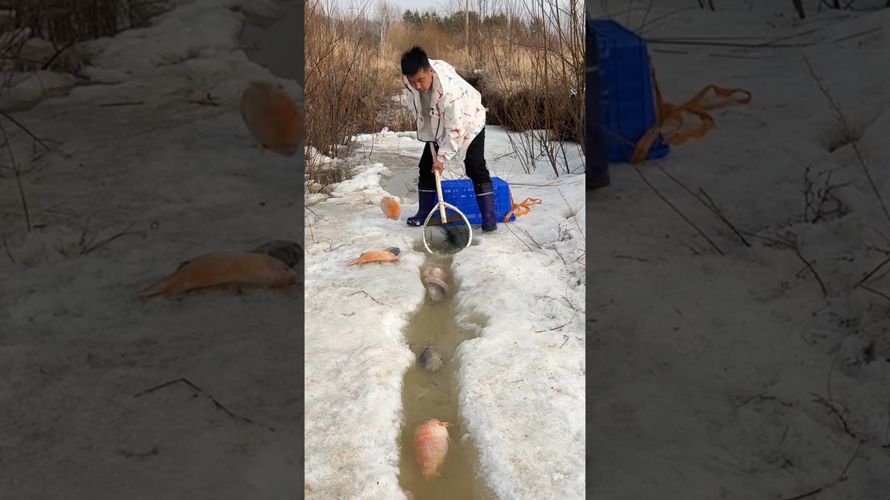 "awesome survival skills for fisherman in winter fishing for catching idea" 