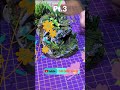 magic terrarium pt.3