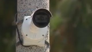 License plate readers to be installed in Imperial Beach