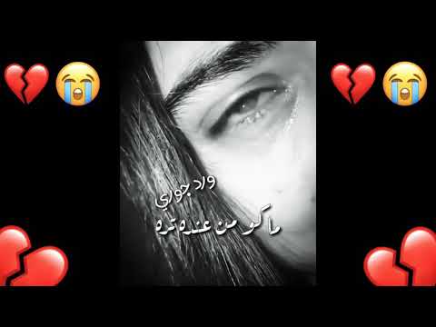 وين الكه منه واحد ماكو من عنده تره
