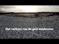 Het verhaal van de gele weidemier