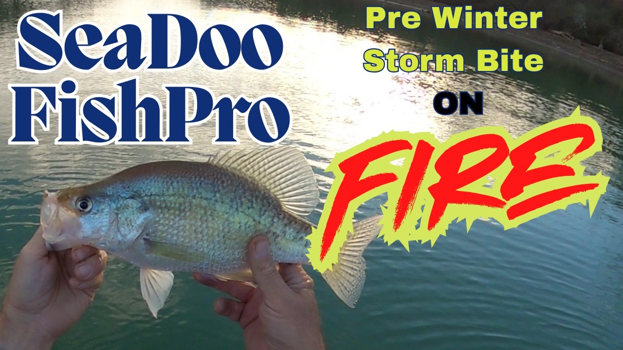 Monster 16¼″ Crappie Garmin LiveScope Plus on Sea-Doo FishPro - 48hrs Before Historic Winter Storm