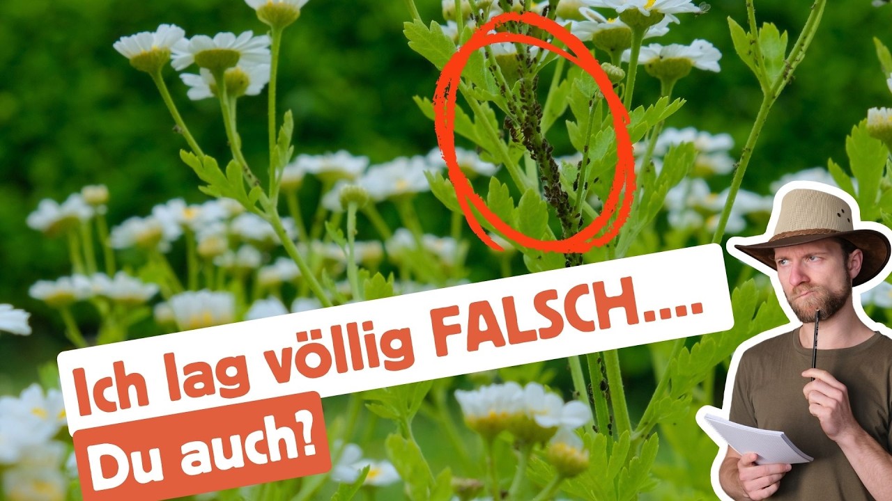🪲4 Schädlinge die GUT für deinen Garten sind