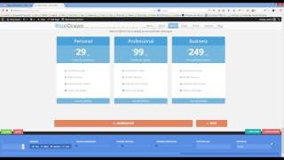 How to create Pricing Table section [BlueOcean One Page Wordpress Theme]