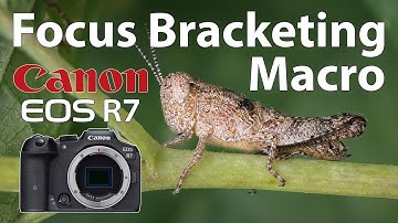 Canon R7 Focus Bracketing Macro Photography