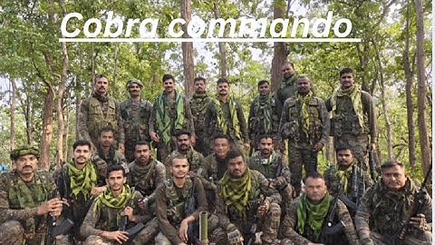 CRPF Cobra commando | Elite Jungle Warriors in Action | Jungle