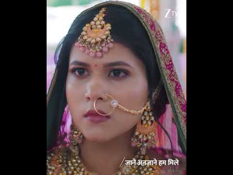 Jaane Anjaane Hum Mile Ep 241 Mon Fri 9 30 PM Zee TV HD