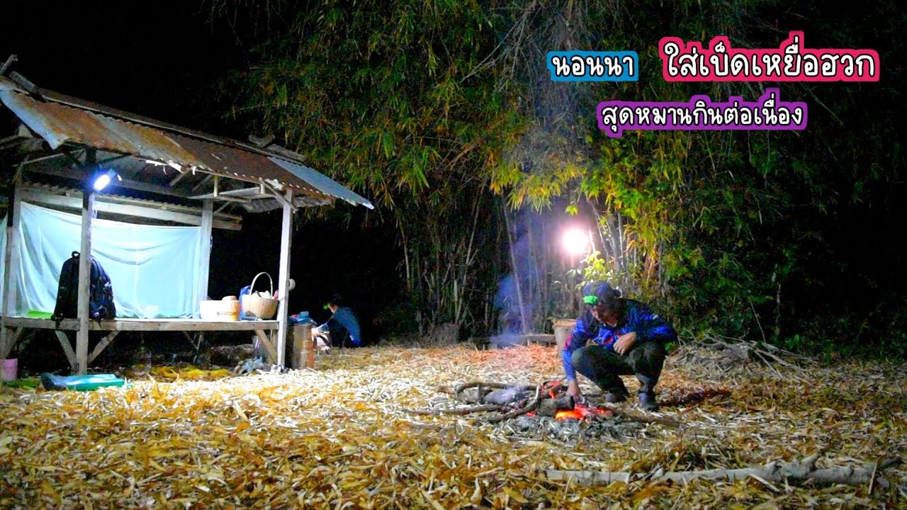 รอบนี้สุดหมาน นอนนาใส่เบ็ดในลำห้วย กินต่อเนื่องแบบนี้มัน/บ้านนาพาสุข EP.492