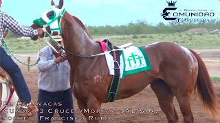Pantera Cuadra Piedreros/La Esperanza Vs. Pelavacas Cuadra 3 Cruces/Morita.  Satevo Racetrack, CHIH.