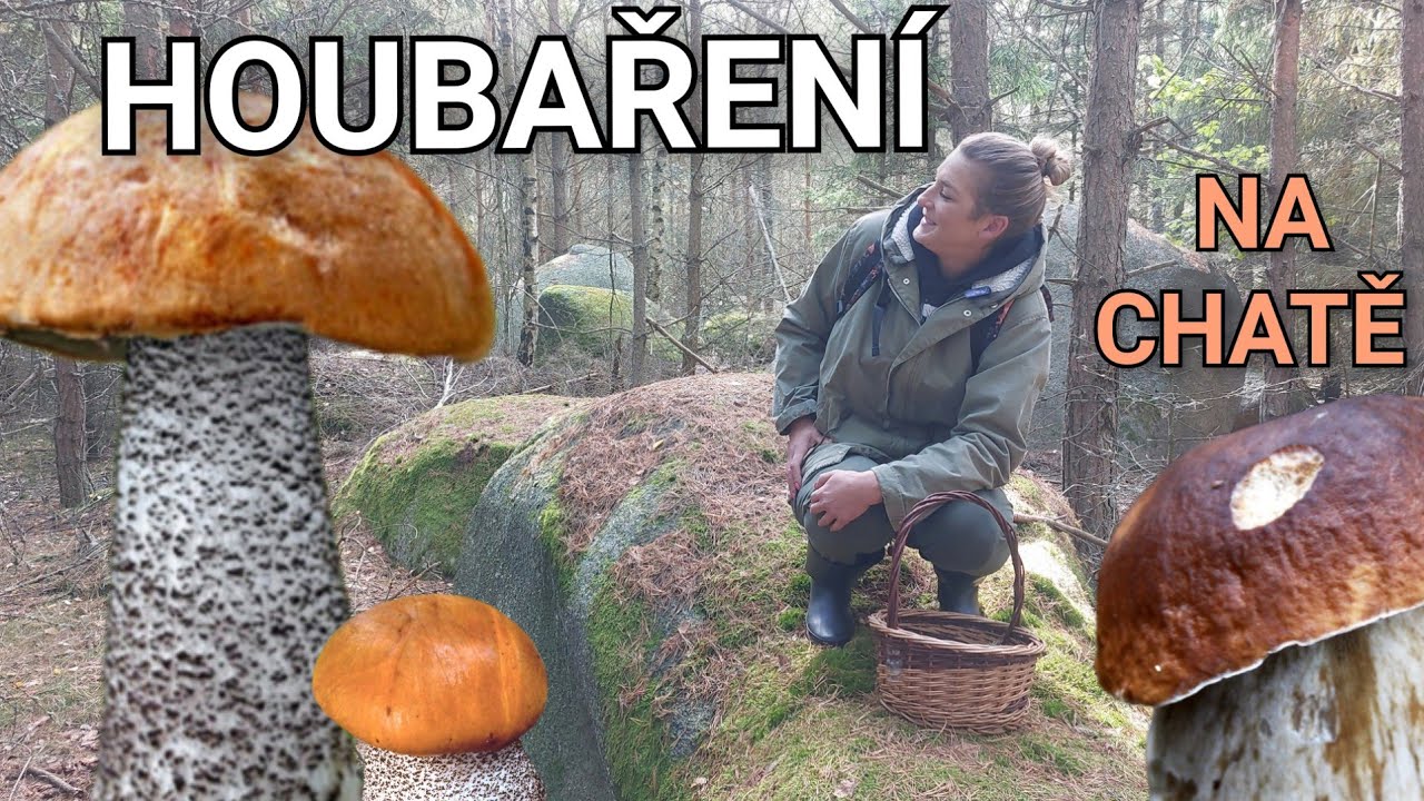 Podzimní houbaření na chatě 2.- 5.10.2025 v Plzeňském kraji. 