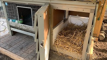 Insulated Rabbit Hutch Build ~ Plus Bunny Name Reveal ~ With Twin Cities Adventures