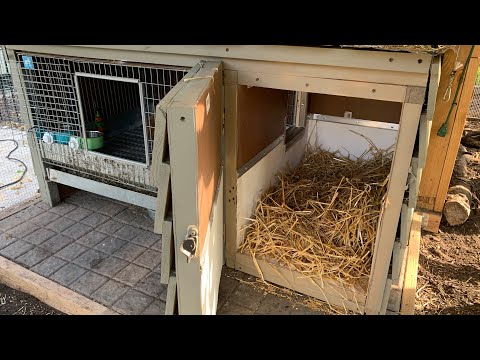 plexiglass rabbit cage