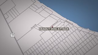 Man dies after being attacked by his 2 dogs in his yard, Galveston County officials say