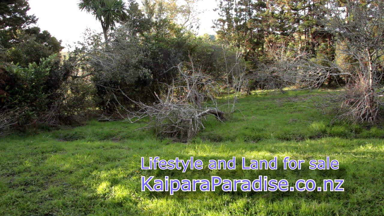 Kaipara Paradise Land and Lifestyle for sale YouTube