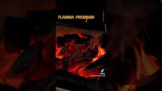FLAMMA carbón PREMIUM . Lo mejor en productos para tus barbacoas. #viralvideo #todos #vip