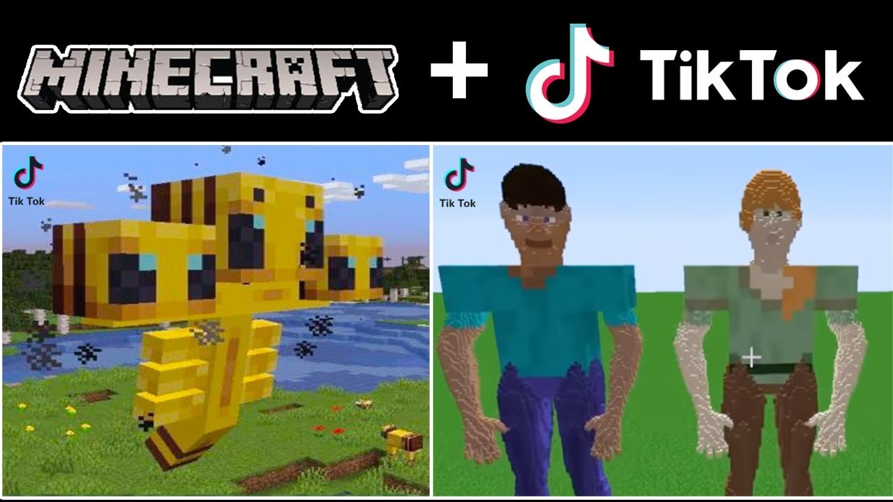 The Best Funniest Tik Tok Minecraft Videos Compilation Part 5 Youtube
