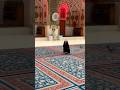 #islamicvideo #islamicshorts  #islamicvideo #shortvideo #viralvideo #yaali #cutebaby