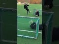 Goalkeeper training