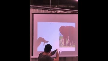 Hand Shadow Art #short