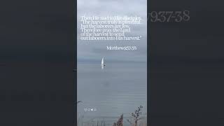 Daily Verse #dailyverse #bibleverse #godsmessage #faith #prayer #god #jesus #hope #love #viral #fyp