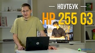 Характеристики Ноутбук Hp 255 K3x20ea Купить