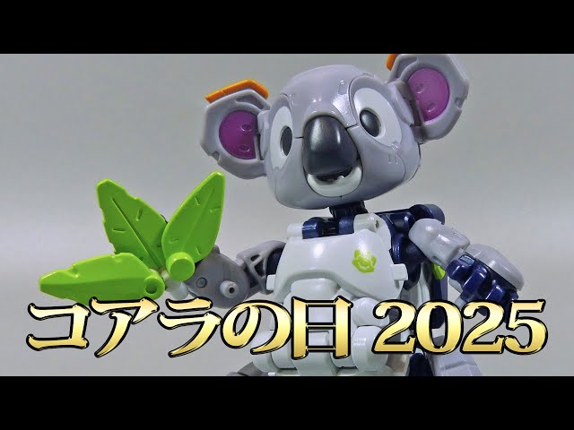 koala様 毛並みツヤツヤやなあ🐨🍀☺️ 20231203 🙅‍♀️無断転載禁止