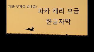 Miniatura de "Moon - No Matter How Hard We Try 가사/번역 (파카 캐리 브금)"