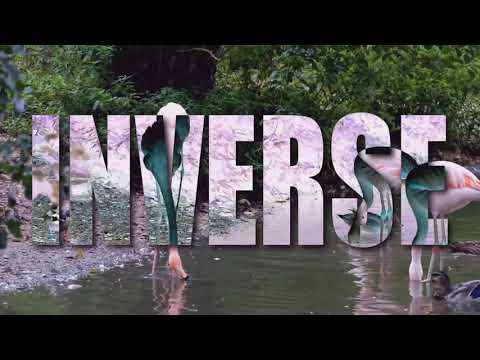 How to Create Inverse Video on Text - After Effect Tutorial - After Effects Quick Tutorial