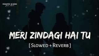 Meri Zindagi Hai Tu - Lofi (Slowed   Reverb) | Jubin Nautiyal, Neeti Mohan | SR-Series