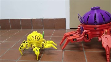 Max The Megapod Playing With Vorpal The Hexapod
