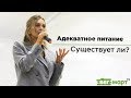 АДЕЛЬ СЕРГЕЕНКОВА — Адекватное питание без фанатизма