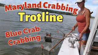 Maryland #bluecrab Crabbing, Commercial Crabbing on the Chesapeake Bay