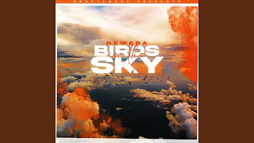 Birds In The Sky (Protein Bor Remix)