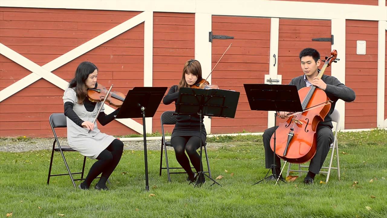 12strings - The Prayer - Andrea Bocelli and Celine Dion