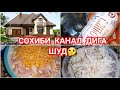 НАРХИ ХАВЛИИ/3 СОТИК ЗАМИН🏠САЛАТ😋ШАБХОИ БЕХОБИ🤦‍♀️