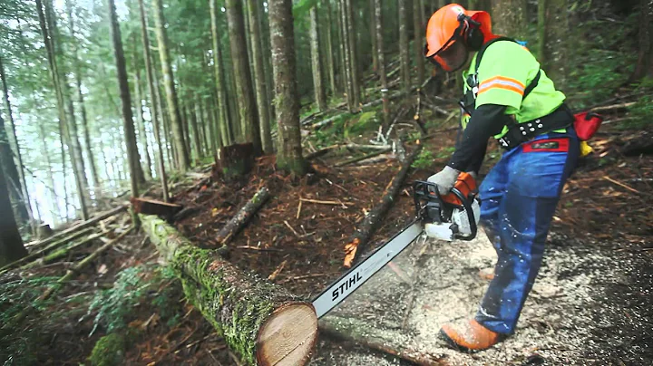 BC Faller Training Standard - Field Examination & Evaluation - BC Forest Safety Council